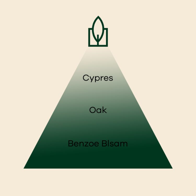 Fir Balsam Miris za sveće - Image 2