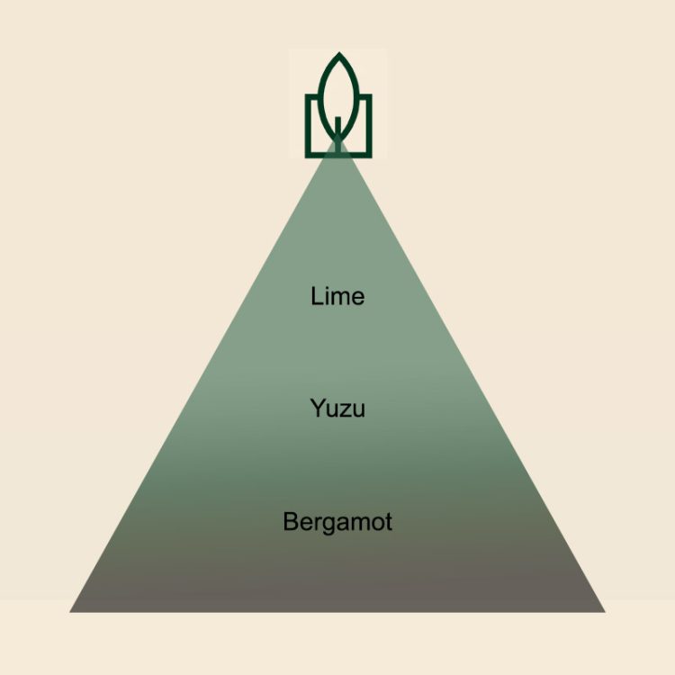 Lemon Yuzu Miris za sveće - Image 2